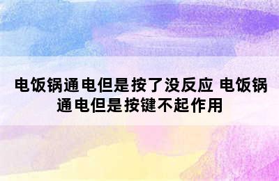 电饭锅通电但是按了没反应 电饭锅通电但是按键不起作用